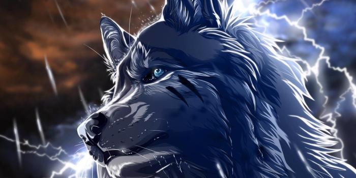 2560x1600 71+ Animated Wolf Wallpapers on WallpaperPlay