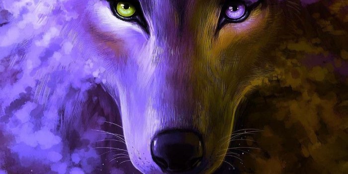 1080x1920 Epic Wolf Wallpaper Hd » Hupages » Download Iphone Wallpapers