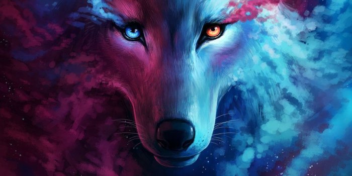 1024x1345 19314 cool anime wolf wallpapers