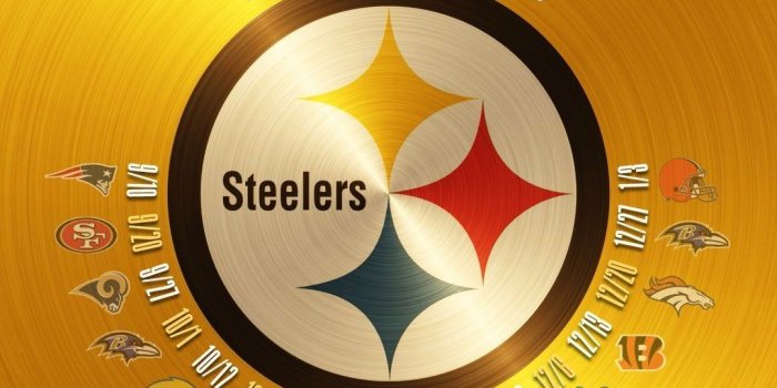 1080x1920 Steelers Cartoon Wallpapers - Top Free Steelers Cartoon Backgrounds