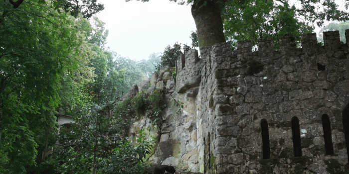 1920x1080 Old palace castle wall, forest, Quinta da Regaleira estate, Sintra,  Portugal Stock Video Footage - Storyblocks Video