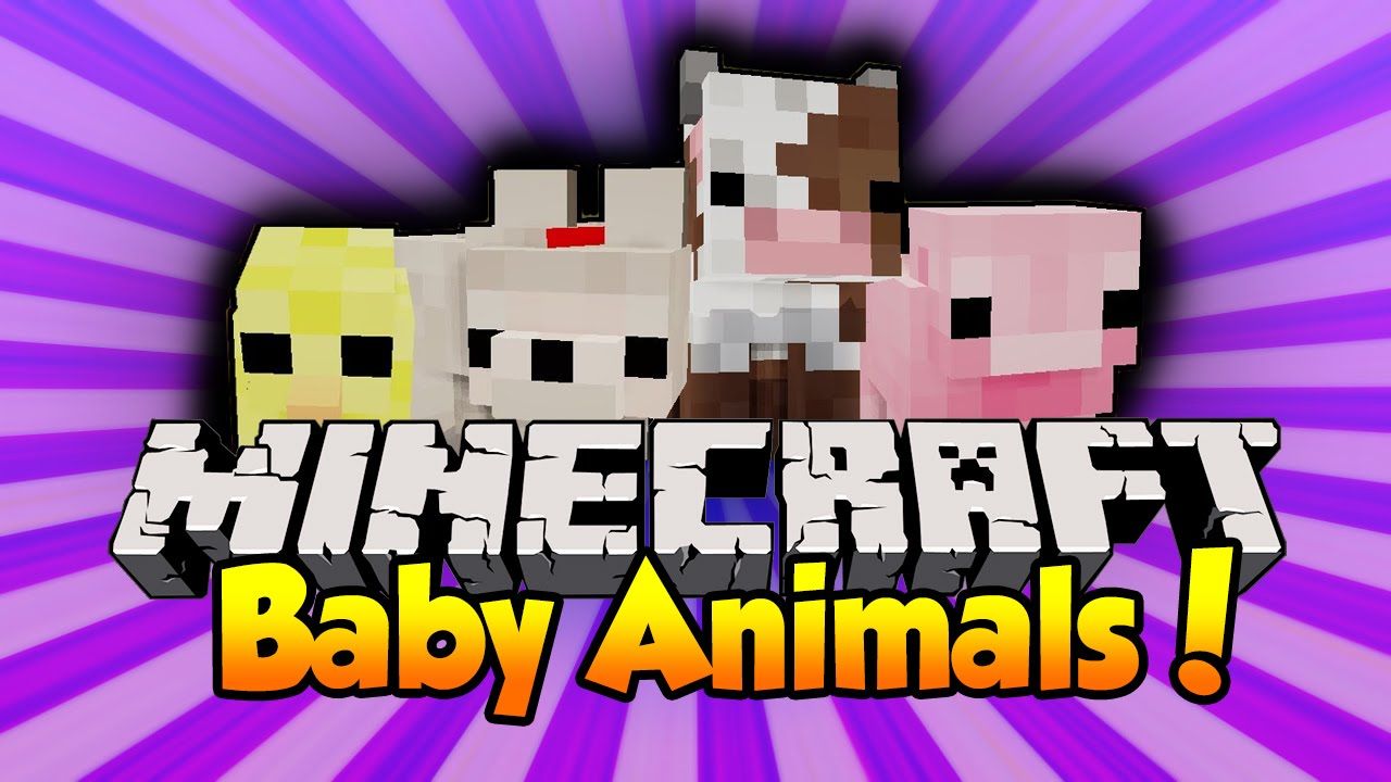 1280x720 Minecraft: BABY ANIMALS! (Baby Pigs, Sheep, Cows & More!) Mod Showcase