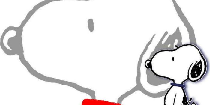 1920x1200 Snoopy Wallpaper and Screensavers (44+ images)