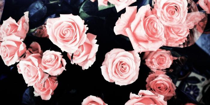 1339x900 65+ Girly Girly Wallpapers - Download at WallpaperBro