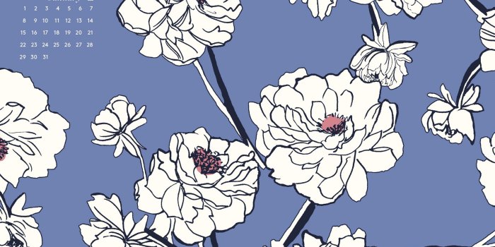 1856x1161 January 2017 Desktop Downloads | wallpaper | Desktop calendar