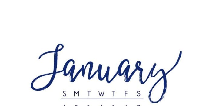 740x1334 January 2017 Calendar + Tech Pretties | Dawn Nicole Designs®