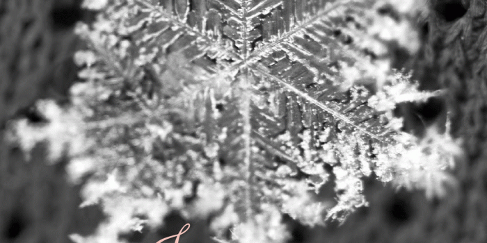 1080x1920 Free January iPhone Wallpaper Downloads - Kid + Kin