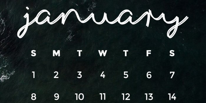 1080x1920 40+ 2017 January Calendar Wallpapers - Download at WallpaperBro