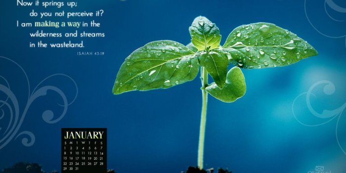 1024x768 Isaiah 43:19 - Trust God's Plan Wallpaper - Christian Wallpapers and