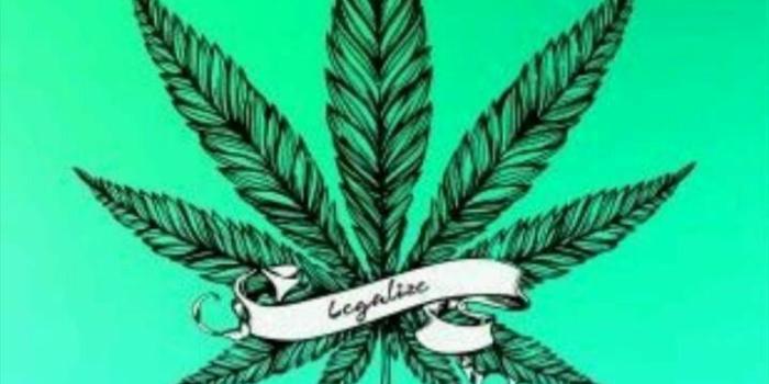 720x1280 Ex.Jo on wallpaper i like in 2019 | Weed wallpaper, Cannabis
