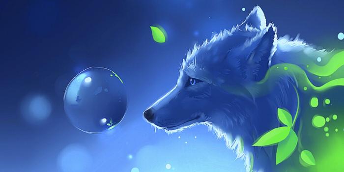 1920x1200 cool fox wallpaper for fox lovers....>_< | illustration | Devian art