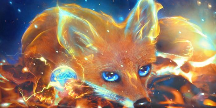 1920x1200 Firefox HD Wallpaper | Background Image | 1920x1200 | ID:642720