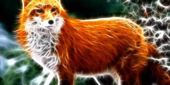 1200x960 Aliyah Knopik on Fractal Art in 2019 | Animal wallpaper