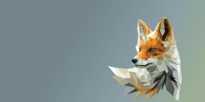 1920x1200 Cool Fox Backgrounds (111+ images in Collection) Page 1