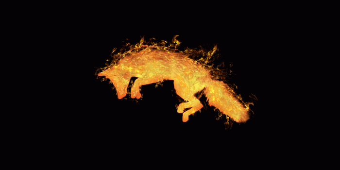 1920x1200 1920x1200 Fire Fox desktop PC and Mac wallpaper