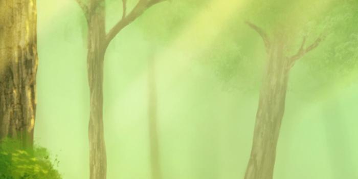 1242x2688 Fox Alone In Forest Digital Art Wallpaper