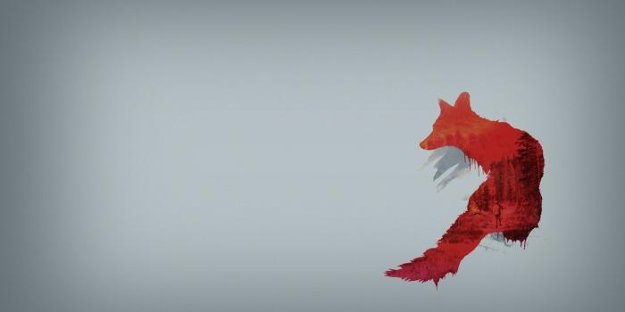 1920x1080 Cool Fox Wallpaper ,free download, (60) - cerc-ug.org