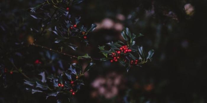 1125x2021 Heaven help me now | fav art in 2019 | Fantasy background