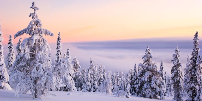 2560x1440 best-images-about-on-Pinterest-Christmas-Winter-wallpaper-wpt8202697