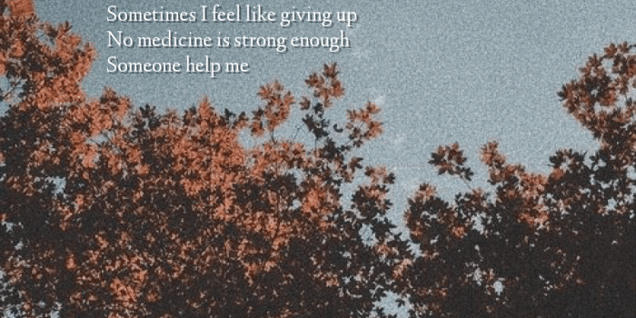 900x1600 Mr Mendes Wallpapers on Shawn Mendes Wallpapers in 2019