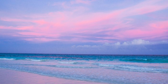 2048x1536 Three Bees at Harbour Island, Bahamas | Style24x7