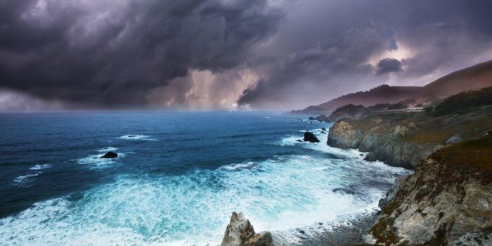 1366x768 Beach: Art Flamingos Trees Shells Palm Bahama Nassau Bahamas Beach