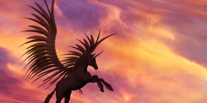1152x864 57 Pegasus HD Wallpapers | Background Images