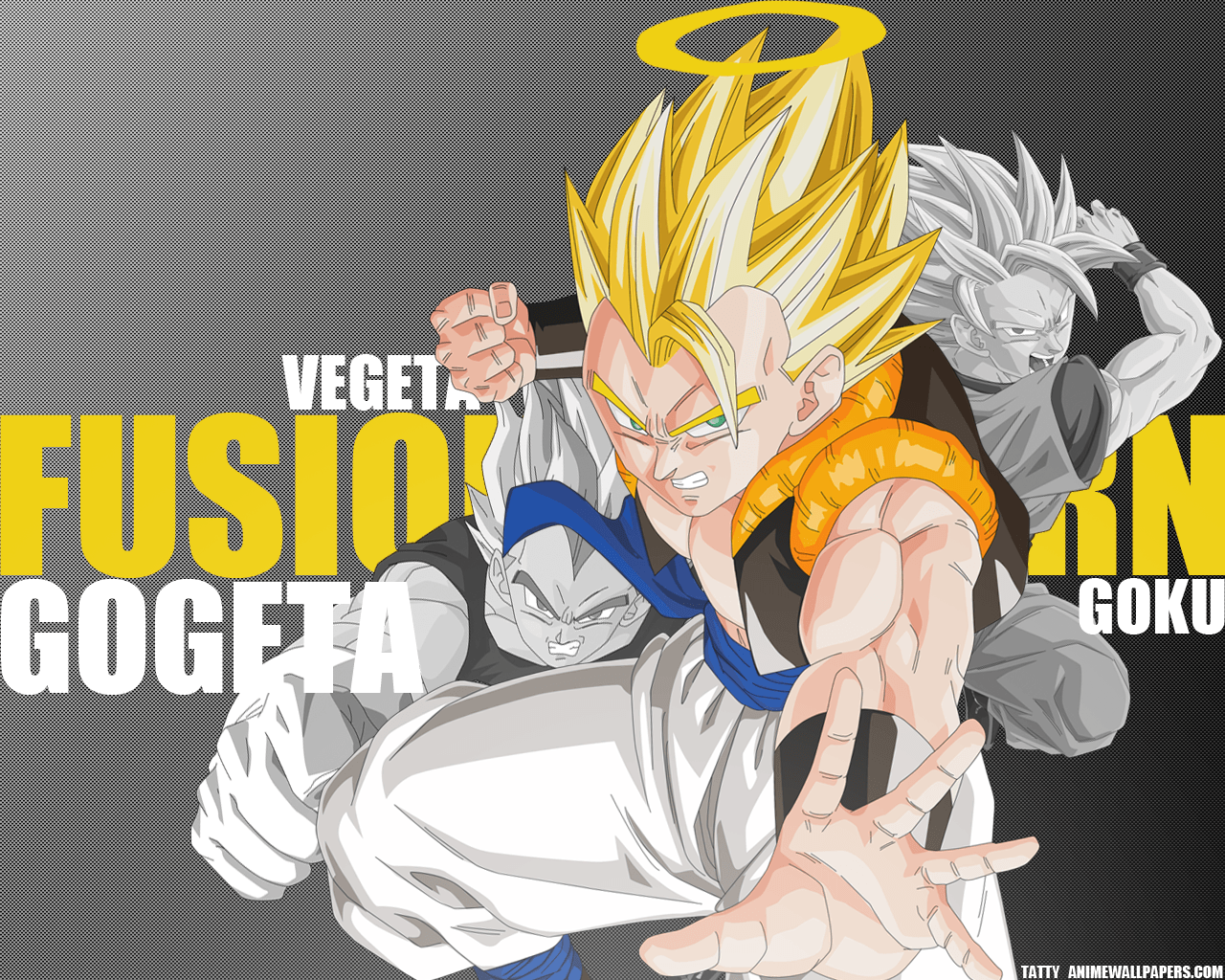 1280x1024 DBZ Fusion Reborn Wallpaper