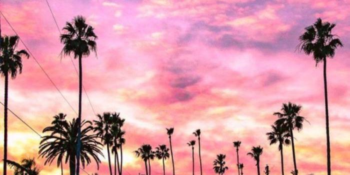 749x1127 Beautiful pink sky - Idea Wallpapers , iPhone Wallpapers,Color Schemes