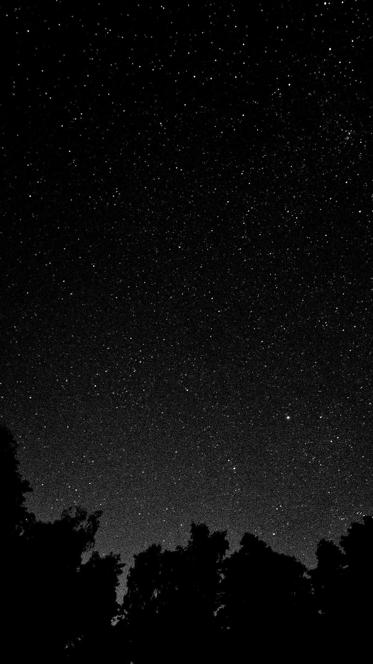 1242x2208 Starry Night Sky Star Galaxy Space White Black Android wallpaper