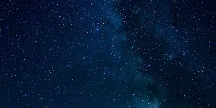 938x1668 Download wallpaper 938x1668 starry sky, night, stars, trees, night