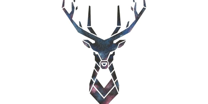 1920x1080 Buck head artowrk, white background, deer, galaxy, simple HD