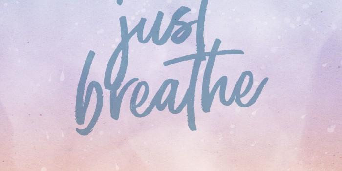 1242x2208 75+ Hakuna Matata Wallpapers on WallpaperPlay