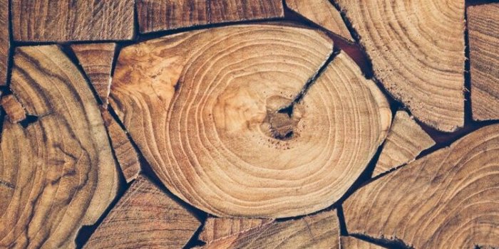 750x1334 Wood wallpaper for your iPhone Xs from Everpix | Texture Wallpapers