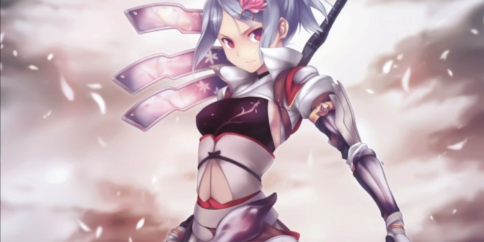 2008x1606 8589130405404-anime-girl-warrior-wallpaper-hd.jpg | Anime | Anime