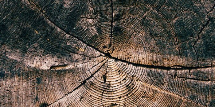 750x1334 iPhone6papers.co | iPhone 6 wallpaper | vq72-wood-line-texture-old