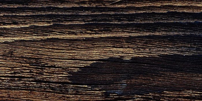 1080x1920 76+ Dark Woods Wallpapers on WallpaperPlay