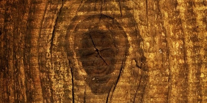 1080x1920 Wallpaper - Wood Iphone 7 Plus (#222617) - HD Wallpaper Download