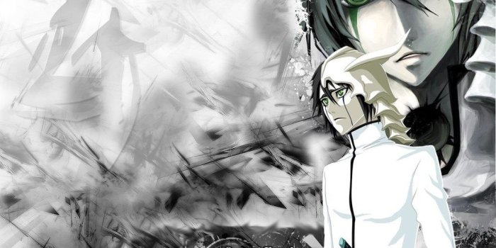1024x768 Ulquiorra Cifer Bleach Anime Wallpapers (32986979) Fanpop Desktop
