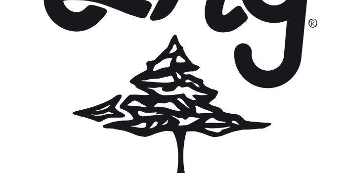 1748x2480 LRG Giraffe Logo - LogoDix