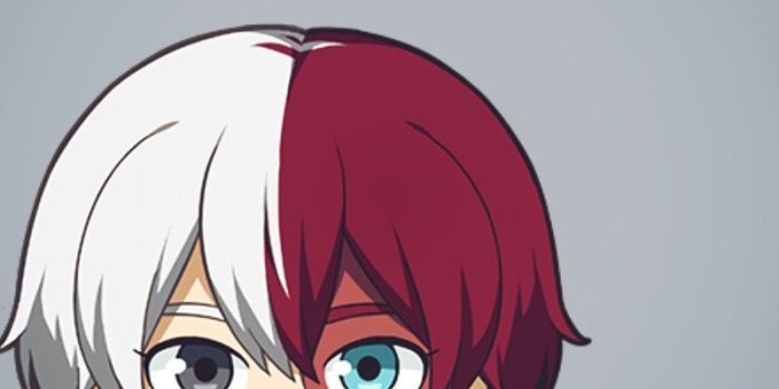 800x1500 myheroacademia bokunoheroacademia bnha todorokishouto...
