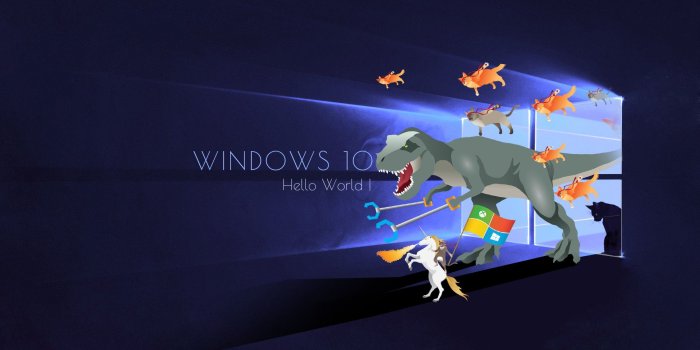 1920x1200 67+ Ninja Cat Wallpapers on WallpaperPlay