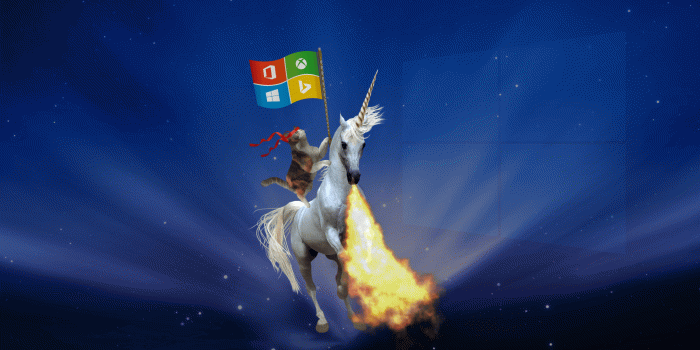 3840x2160 10 Cool Ninja Cat Wallpapers For Microsoft Windows 10...