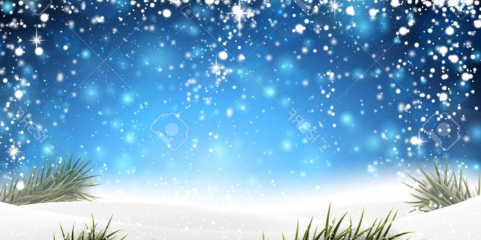 1560x1064 Photostock Vector Winter Abstract Blue Background With Spruce Twigs