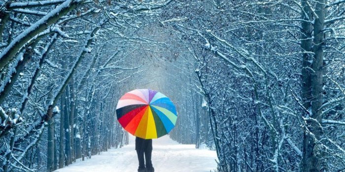 1024x768 Winter Images Wallpaper 1024x768 (449.88 KB)