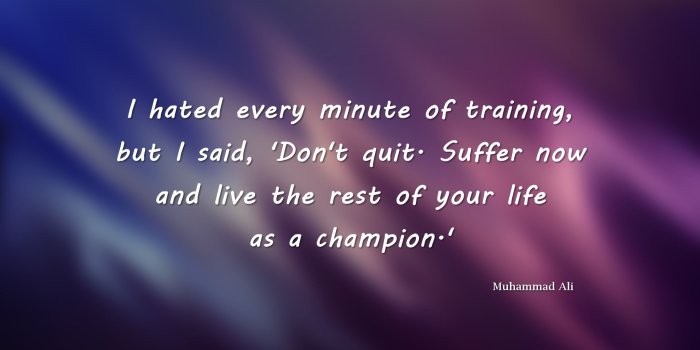 2048x1152 Inspirational quote about being a champion - Wallpago | Quotes
