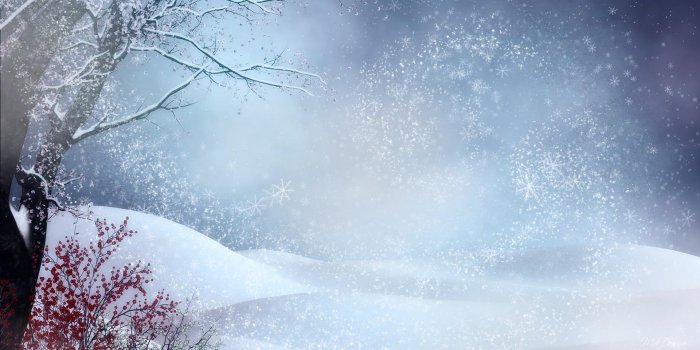 1921x1080 8199 winter solstice wallpaper