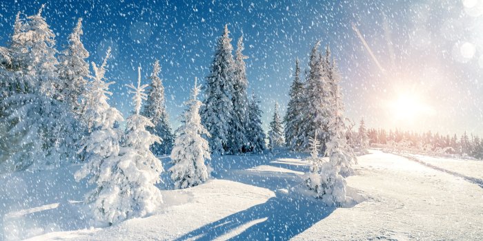 5472x3606 Background Images, Download, Fresh,winter, Landscape, Nature