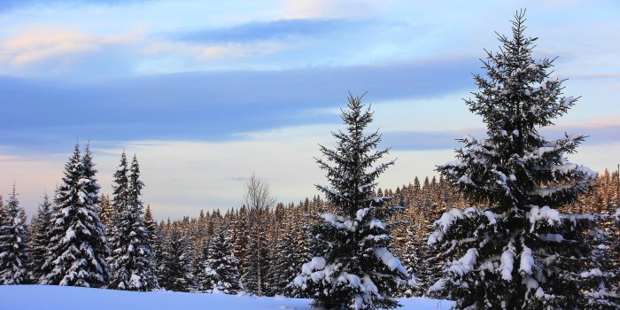 3600x2400 Amazing, Snow,winter, Tumblr, Landscape, Abstract HD Wallpaper