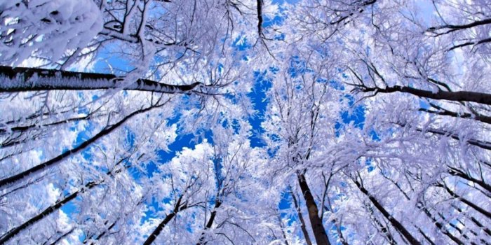 1190x706 Hd Desktop Wallpaper Winter | Wallpapers Abstract